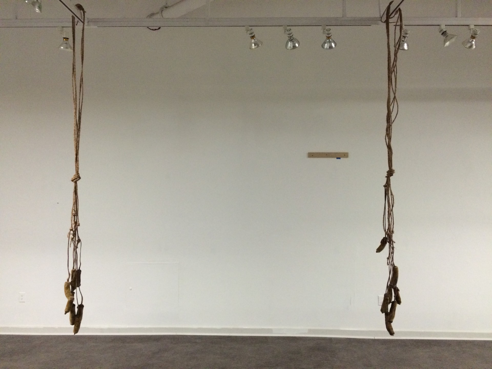 Wide installation view